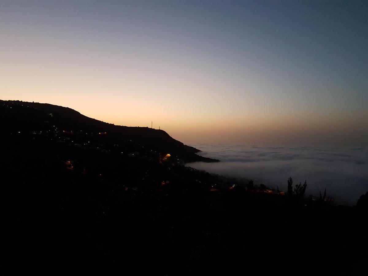 Finca Los Ciruelos Casas Rurales Icod De Los Vinos Exteriör bild