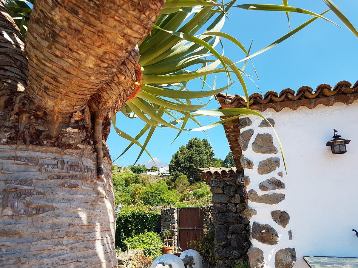 Finca Los Ciruelos Casas Rurales Icod De Los Vinos Exteriör bild